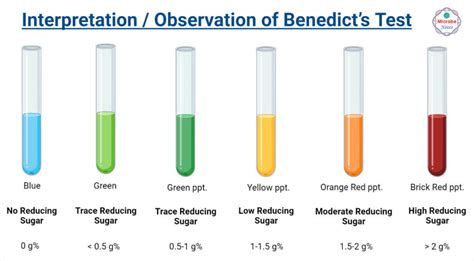 benedicts test positive result